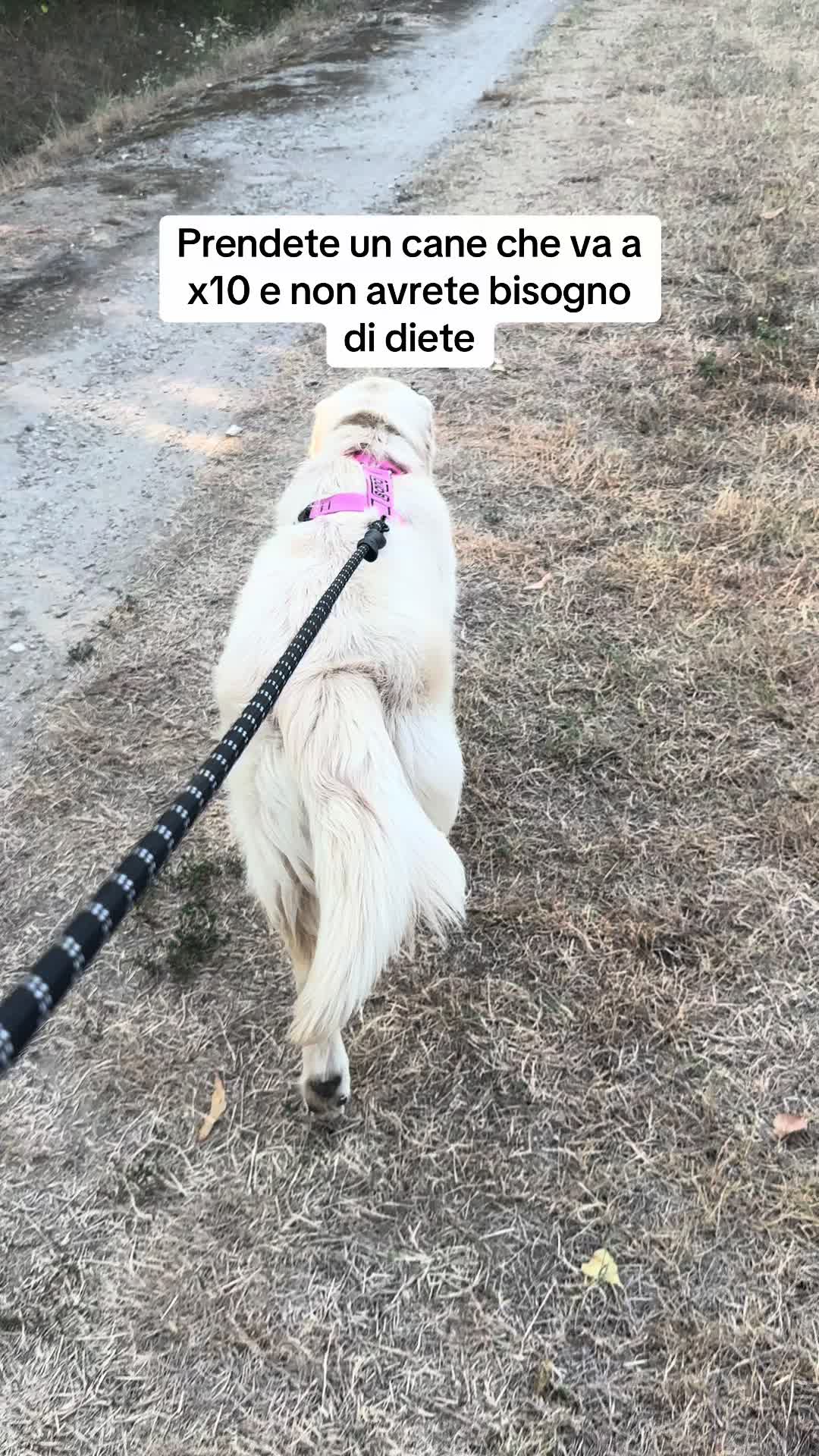 @Raffa&Cali
