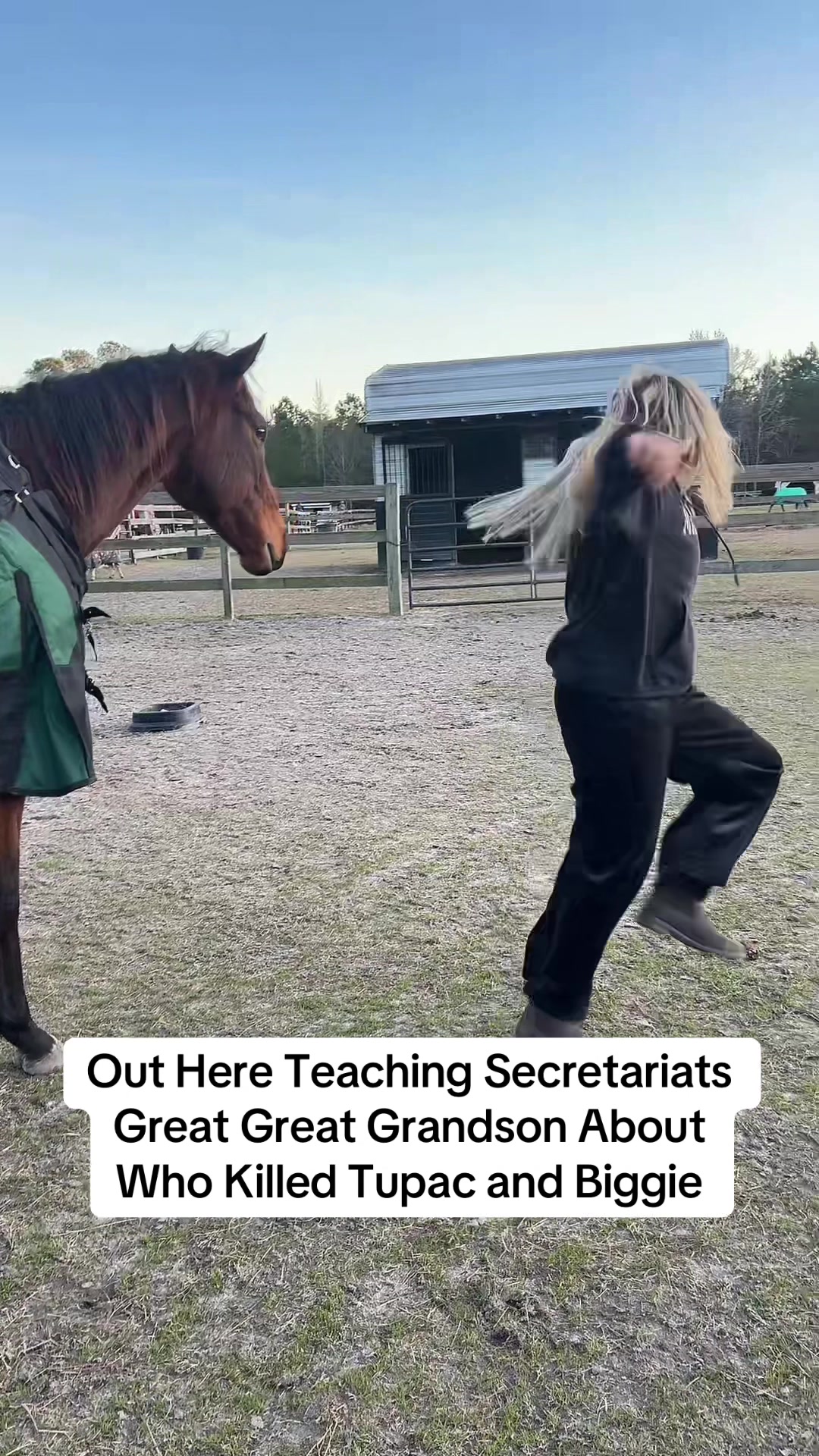 @Lacy & Shooter the OTTB