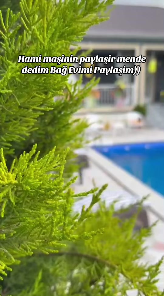 @Qebele_Bağ_Evleri_Kiraye