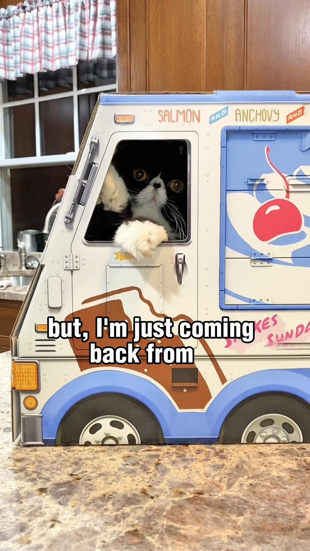 @Walter Bishop The Cat