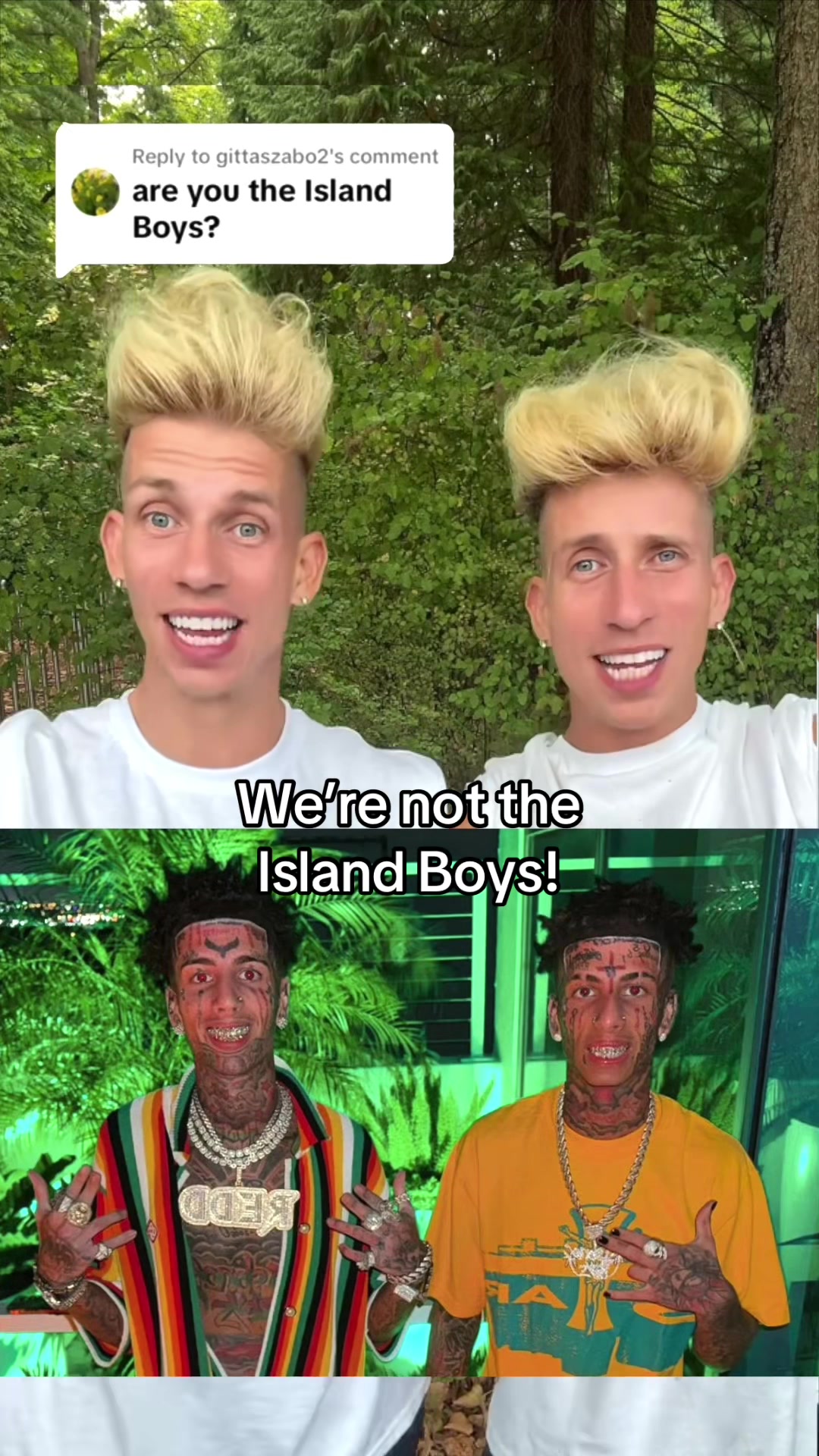 @vorostwins