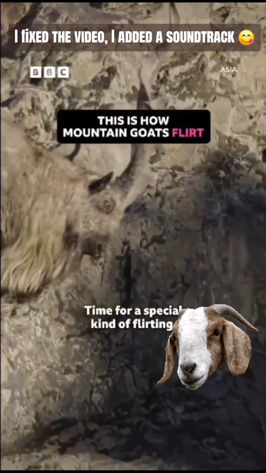 @Looney_Humanist🆘️🇺🇸✊🏻🔥🧊