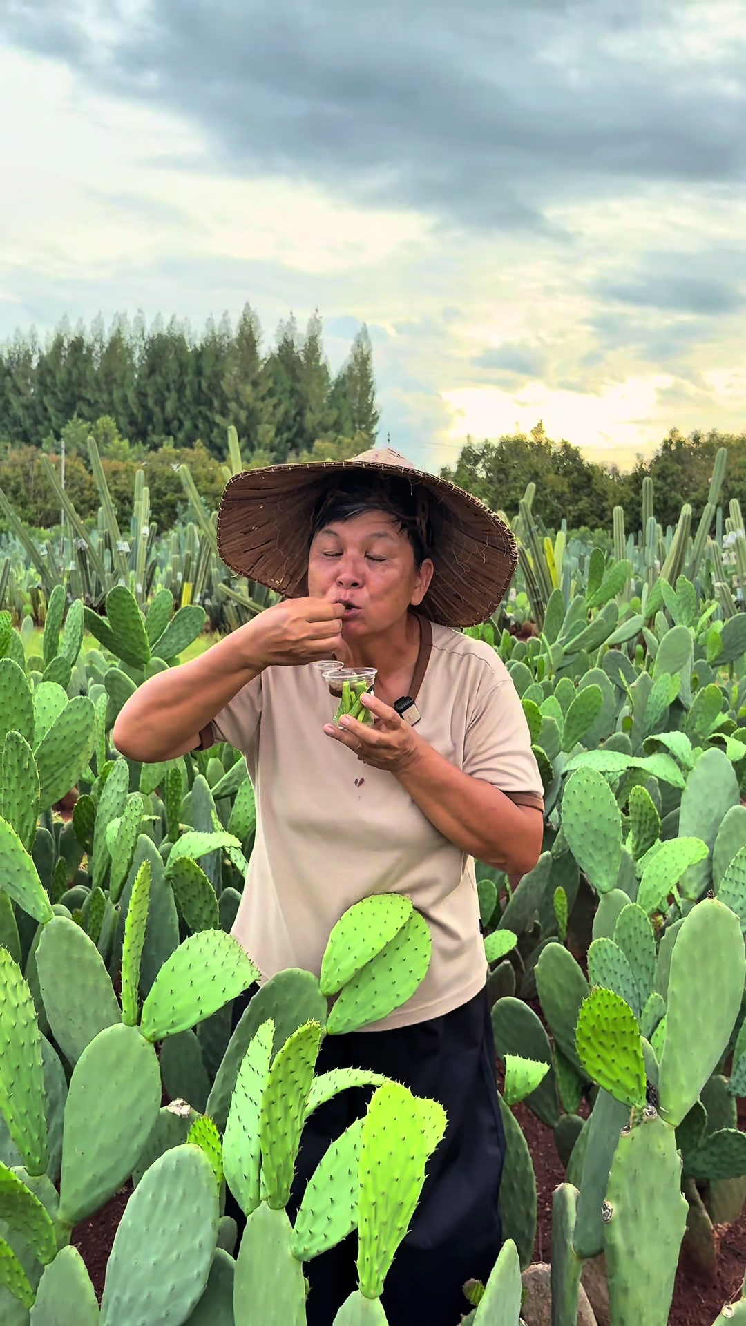@ไร่วันยังขำ Oneyoungkham farm
