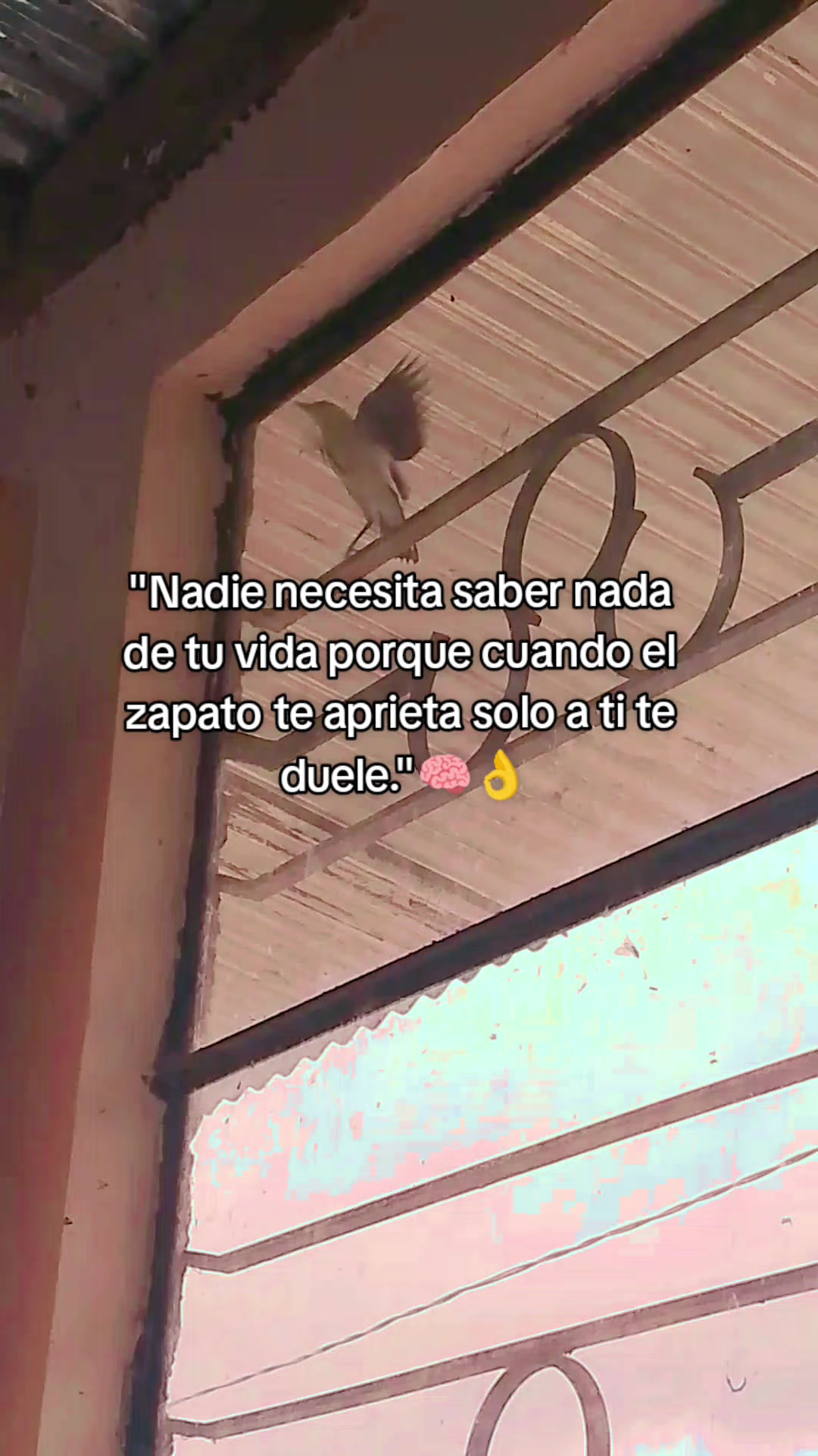 @Rios Medina