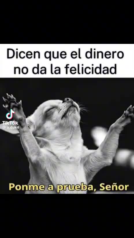 @alexisg1965