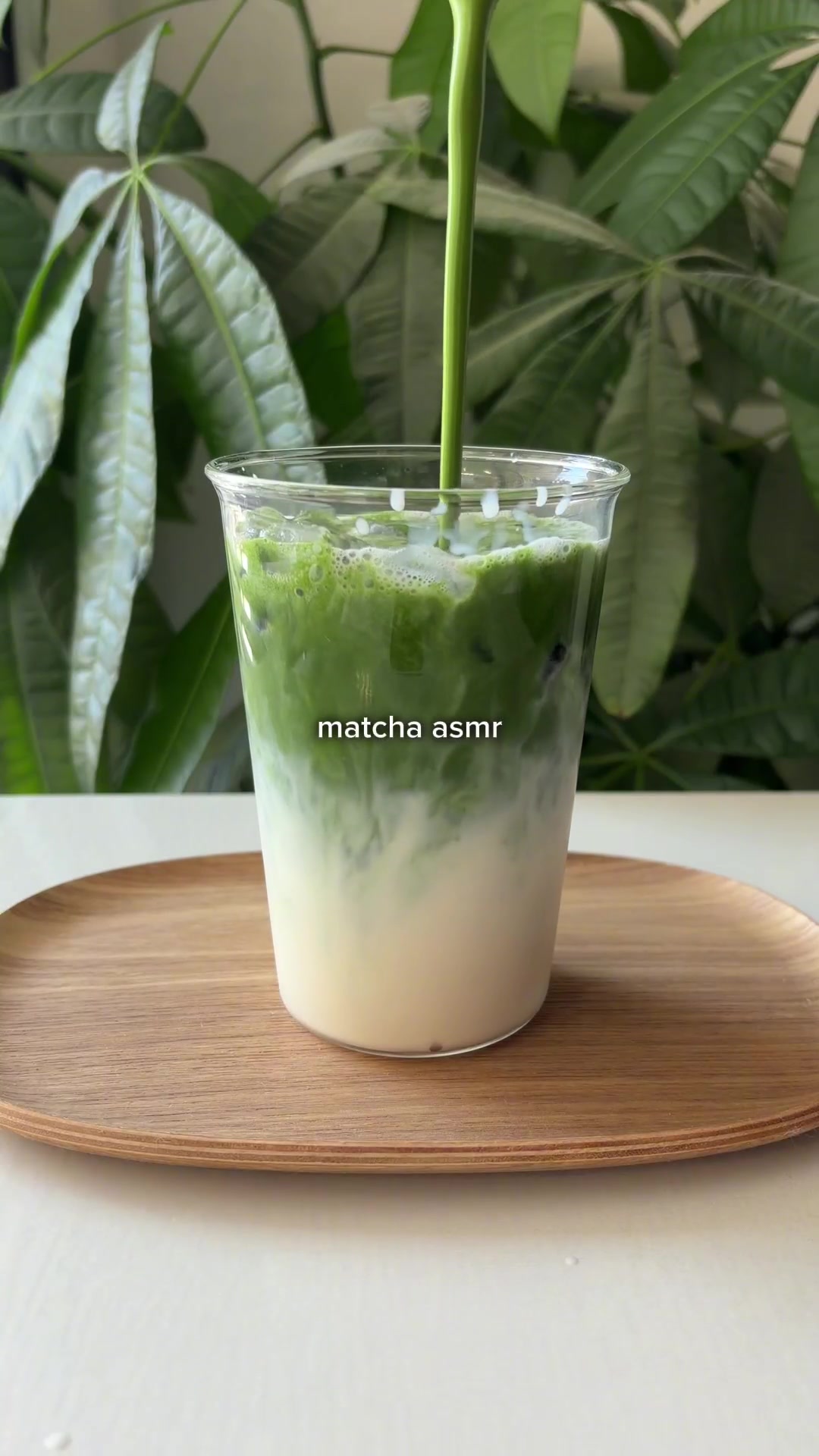 @Ujicha Matcha