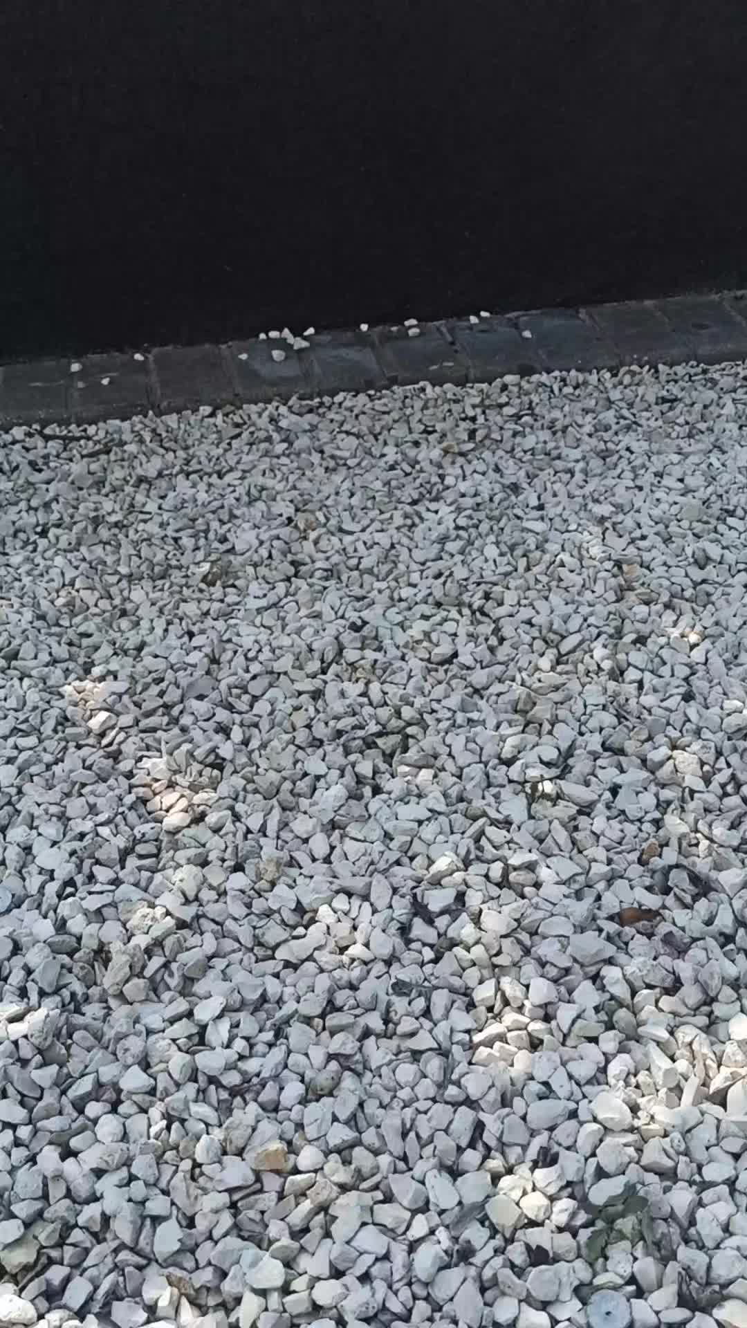 @upadły anioł