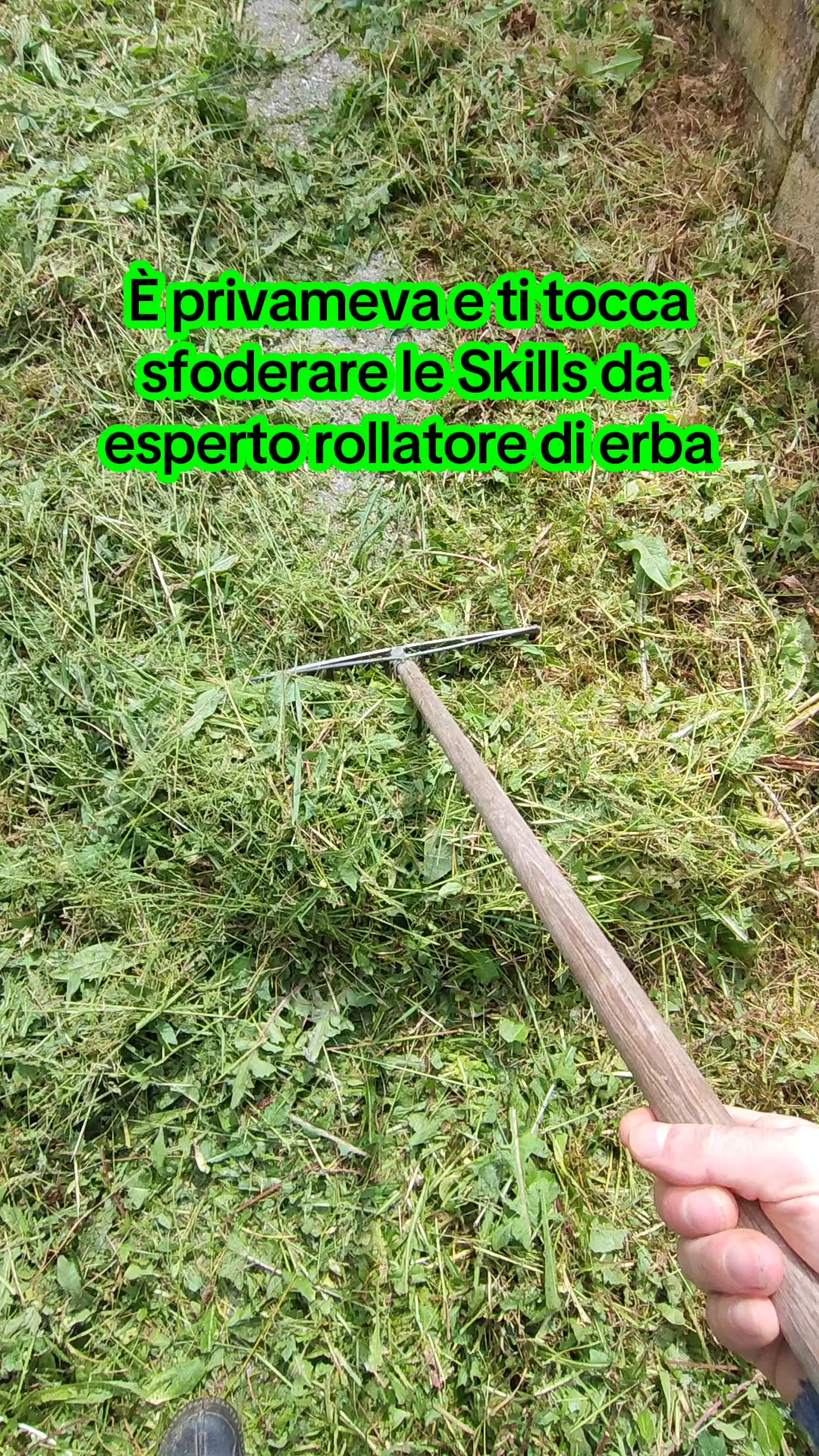 @Tameverse