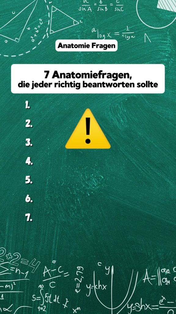 @DailyQuizMaster