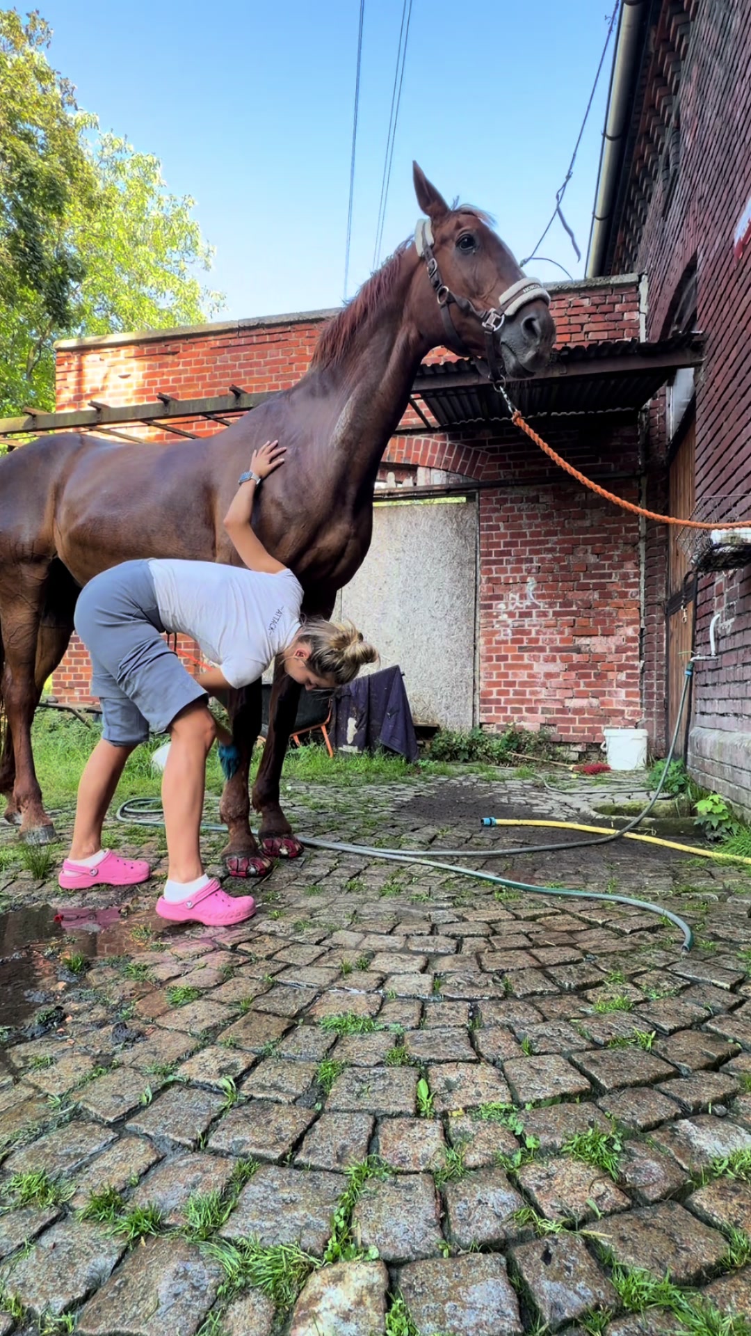 @Jagoda Dąbrowska