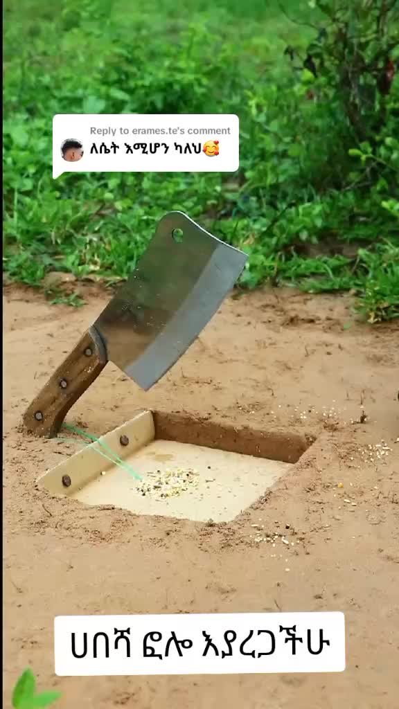 @የጫካው ቀበጥ