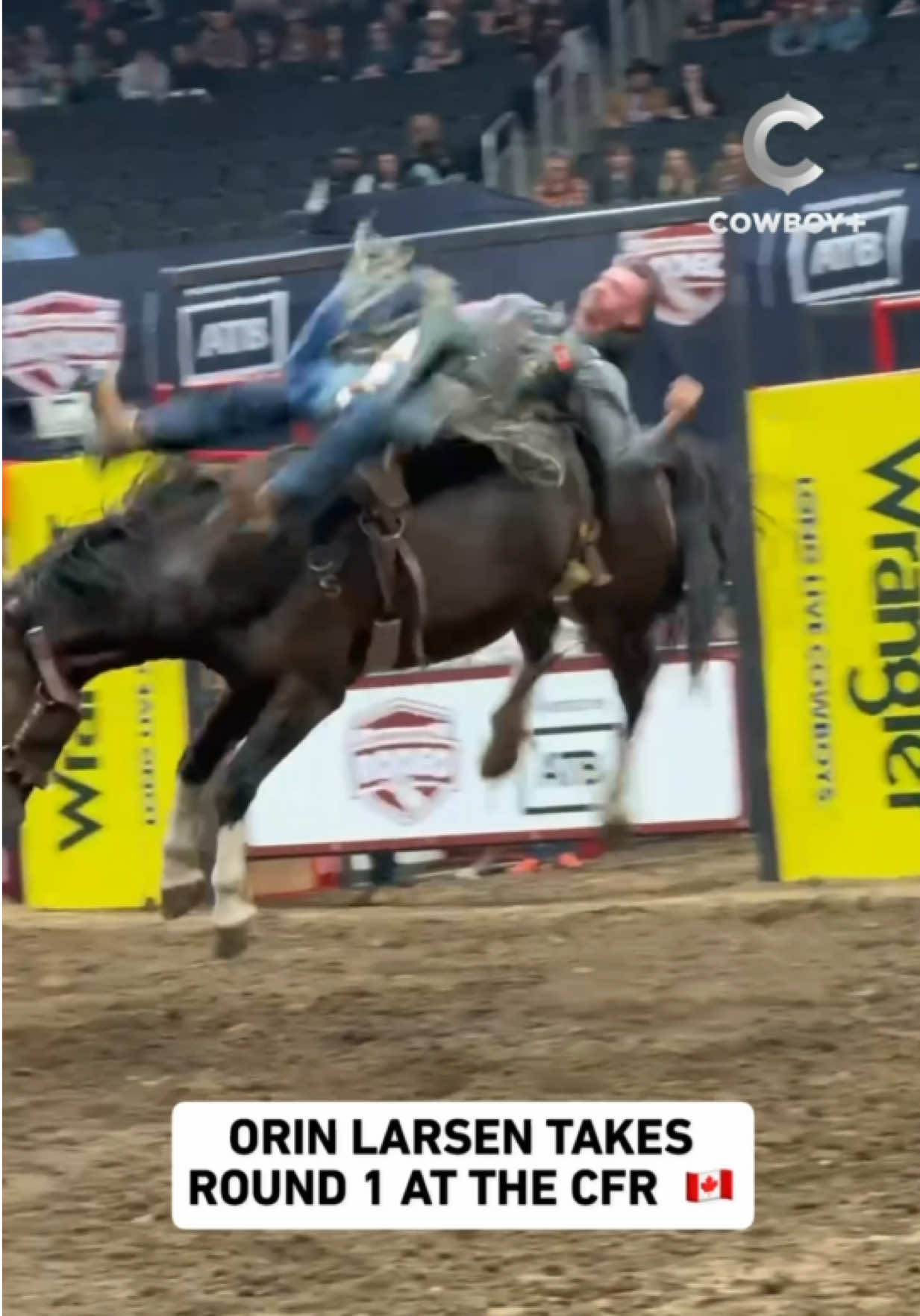 @cowboy_plus