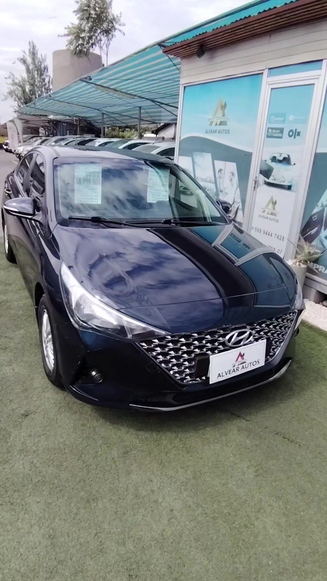 @www.alvearautos.cl