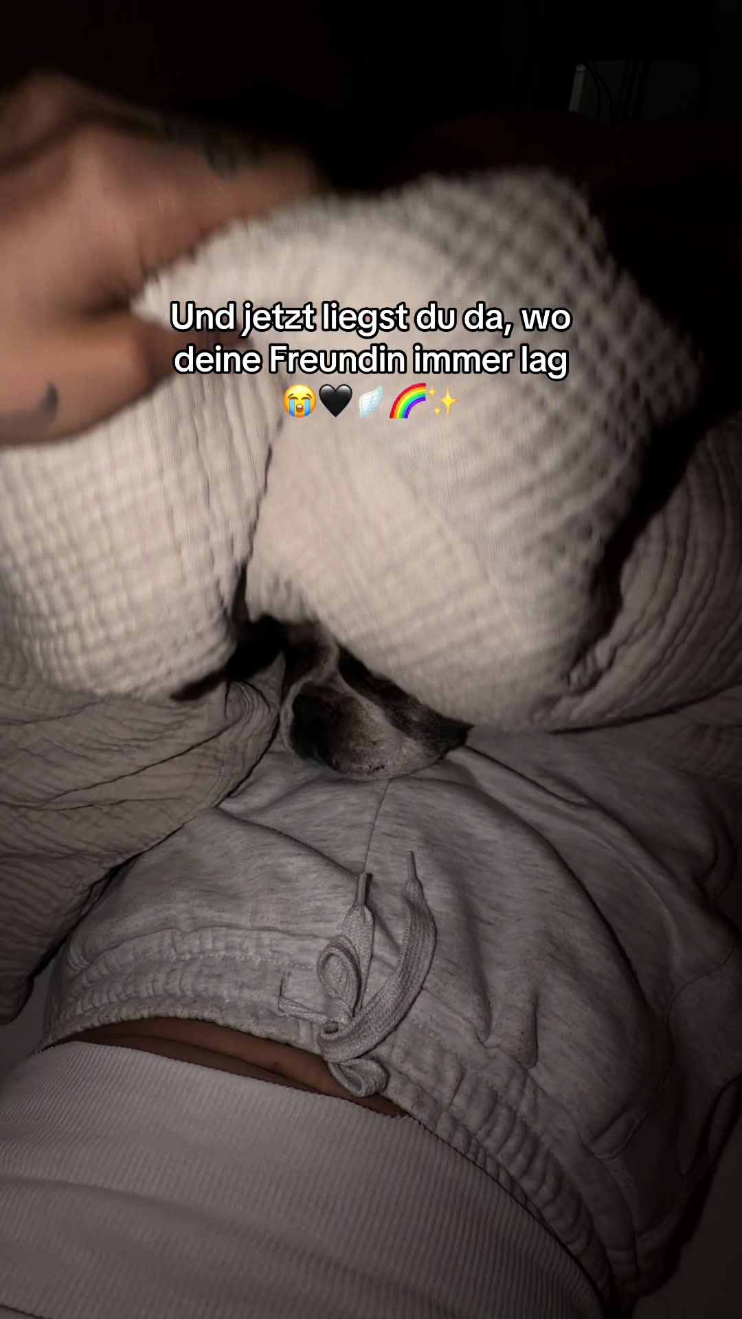 @DONIJAHILLIGES🧚🏻♀️
