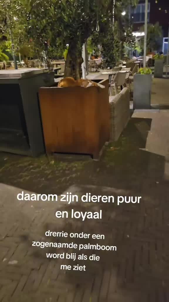 @Zey_motivation