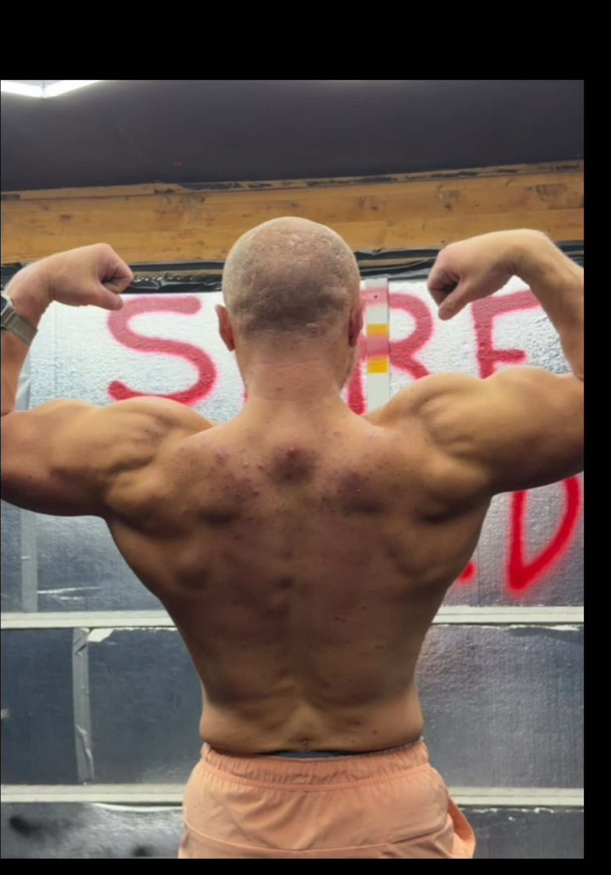 @gainsbygober