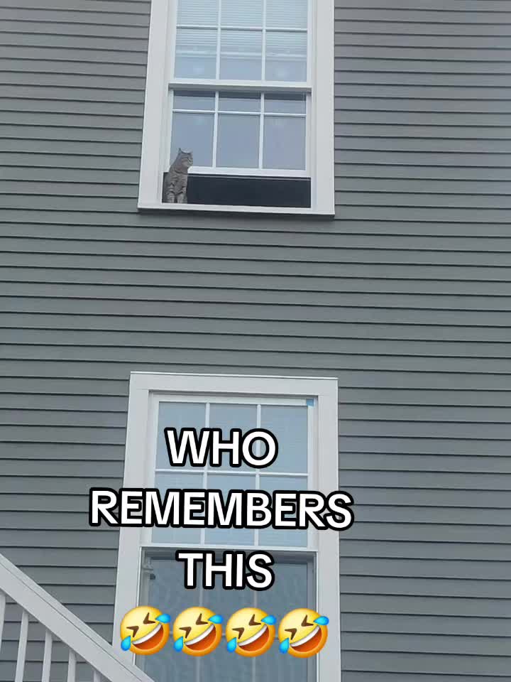 @TERRAFULLSIGHT