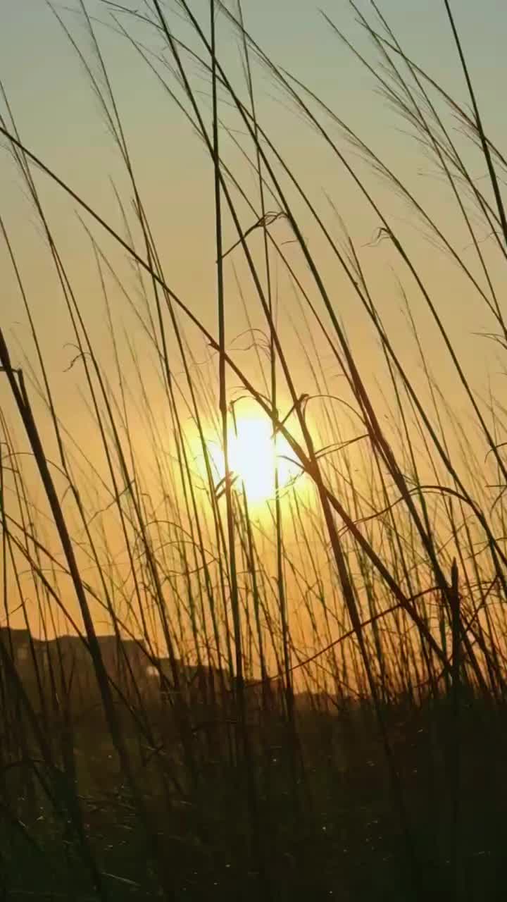 @🏝️OBX SANDY🏝️