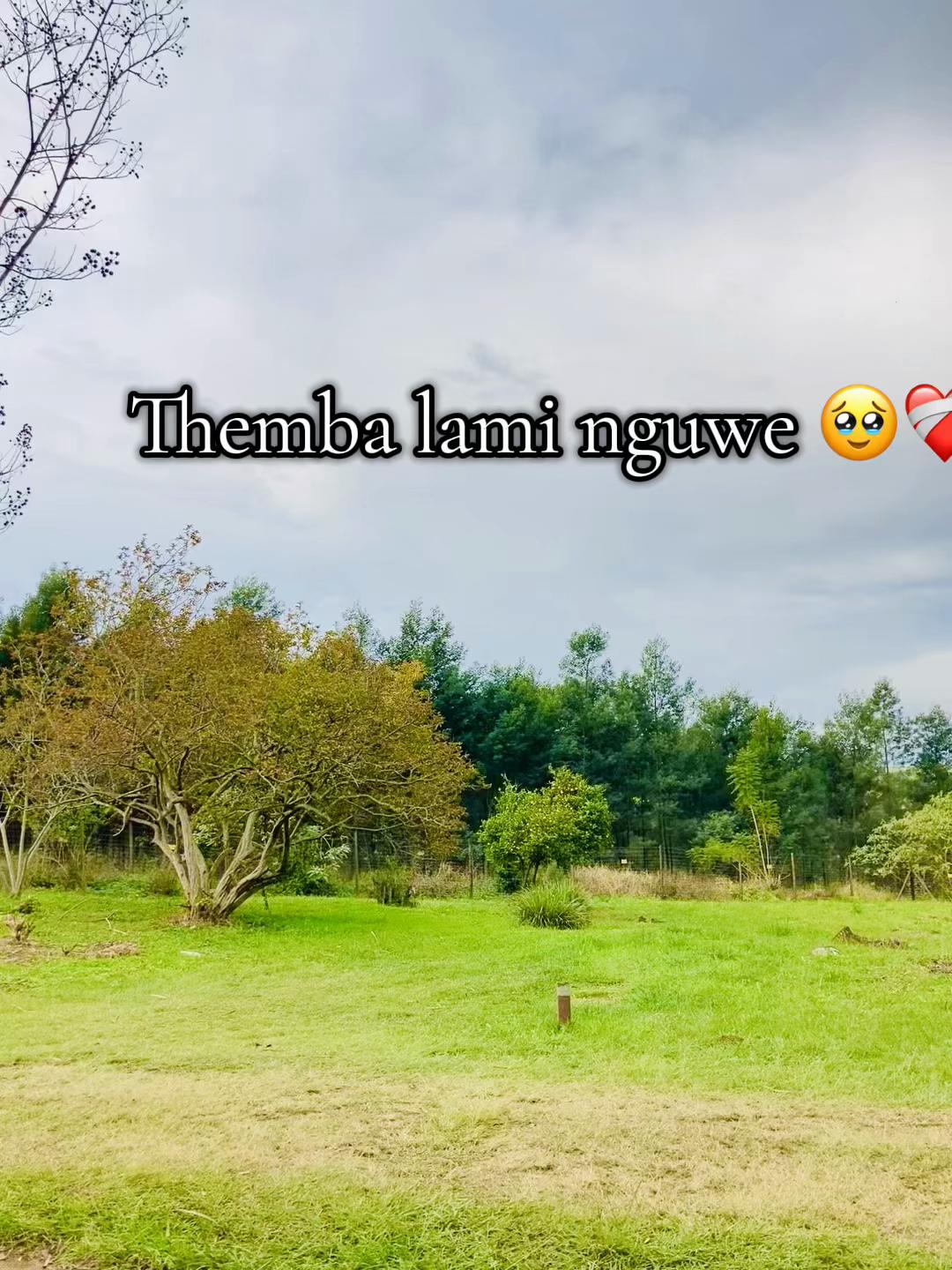 @️icala_lomzali