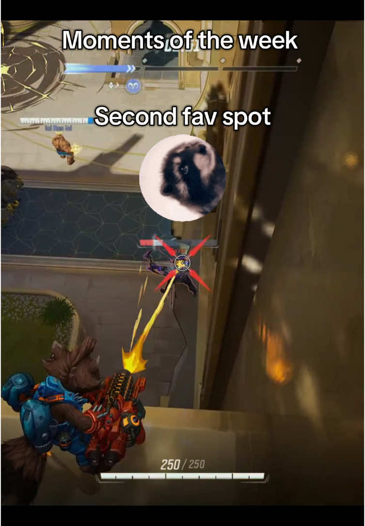 @SachiMonster