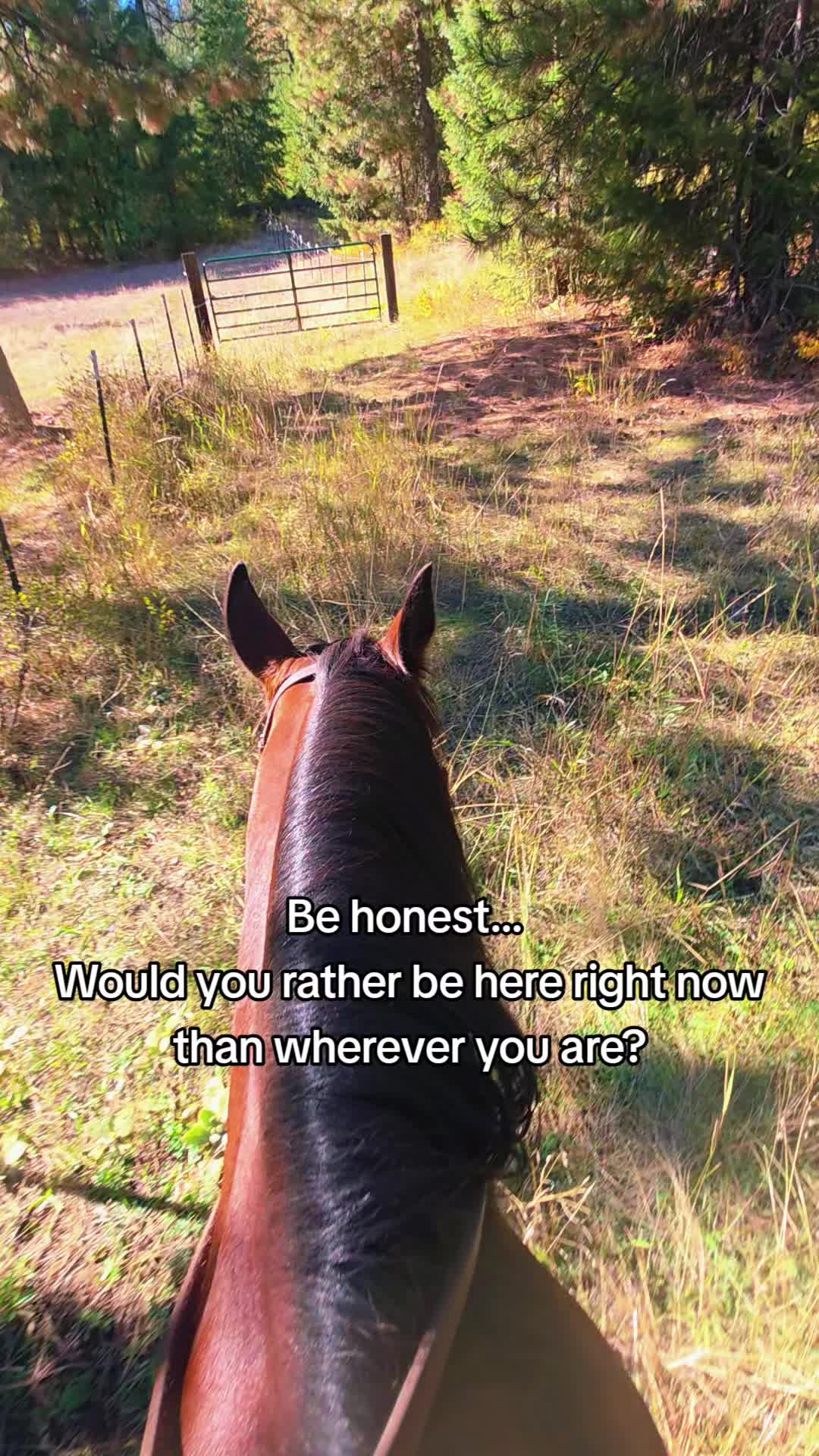 @🐴 ColdMountainRanch 🏇