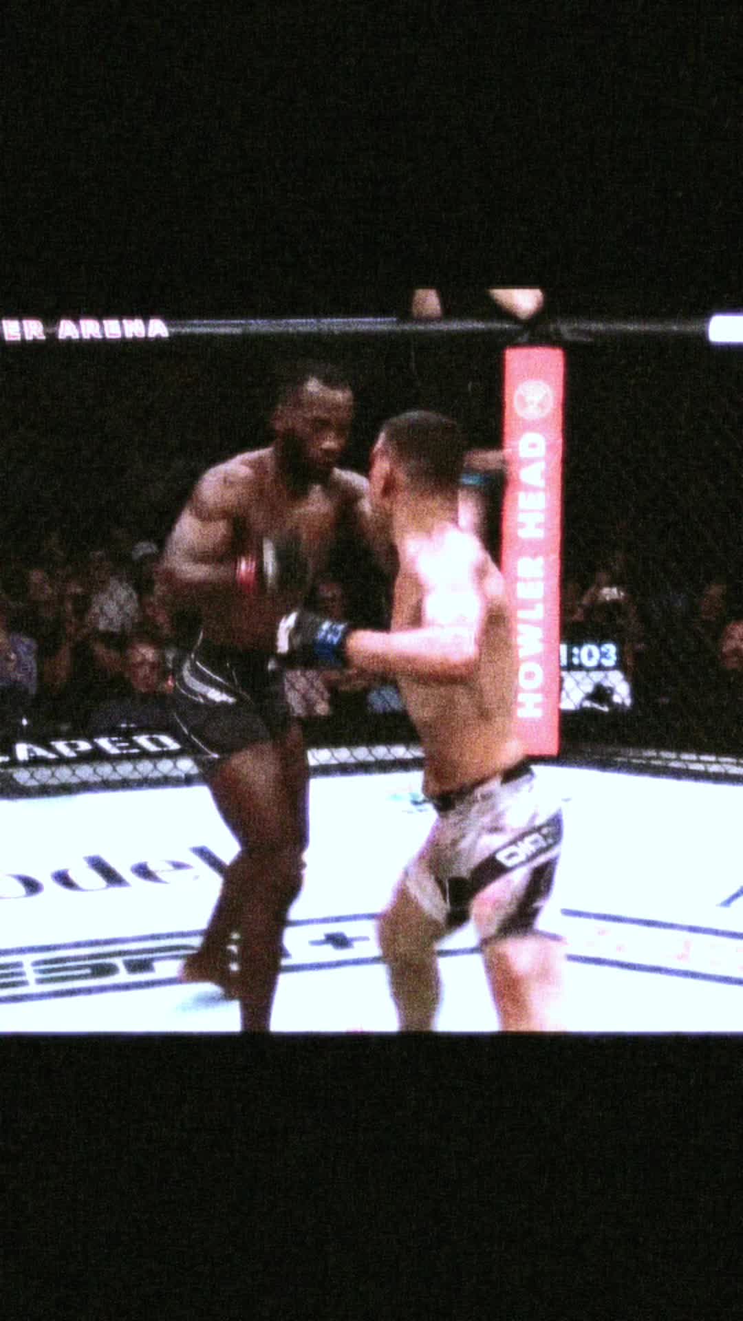 @notoriouslymma