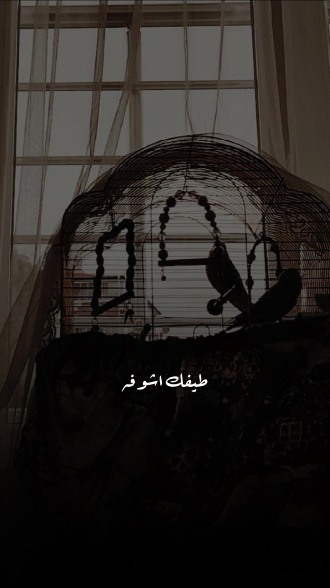 @خواطر العتيبي 👑