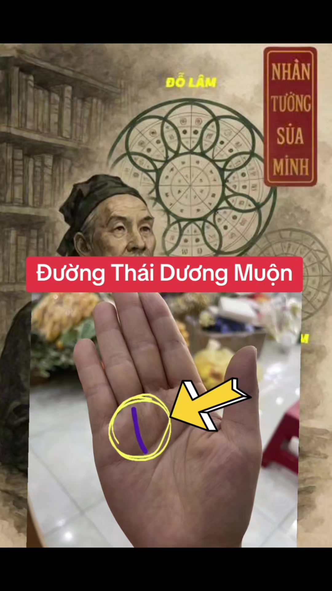 @Nh&acirc;n Tướng Hiểu M&igrave;nh