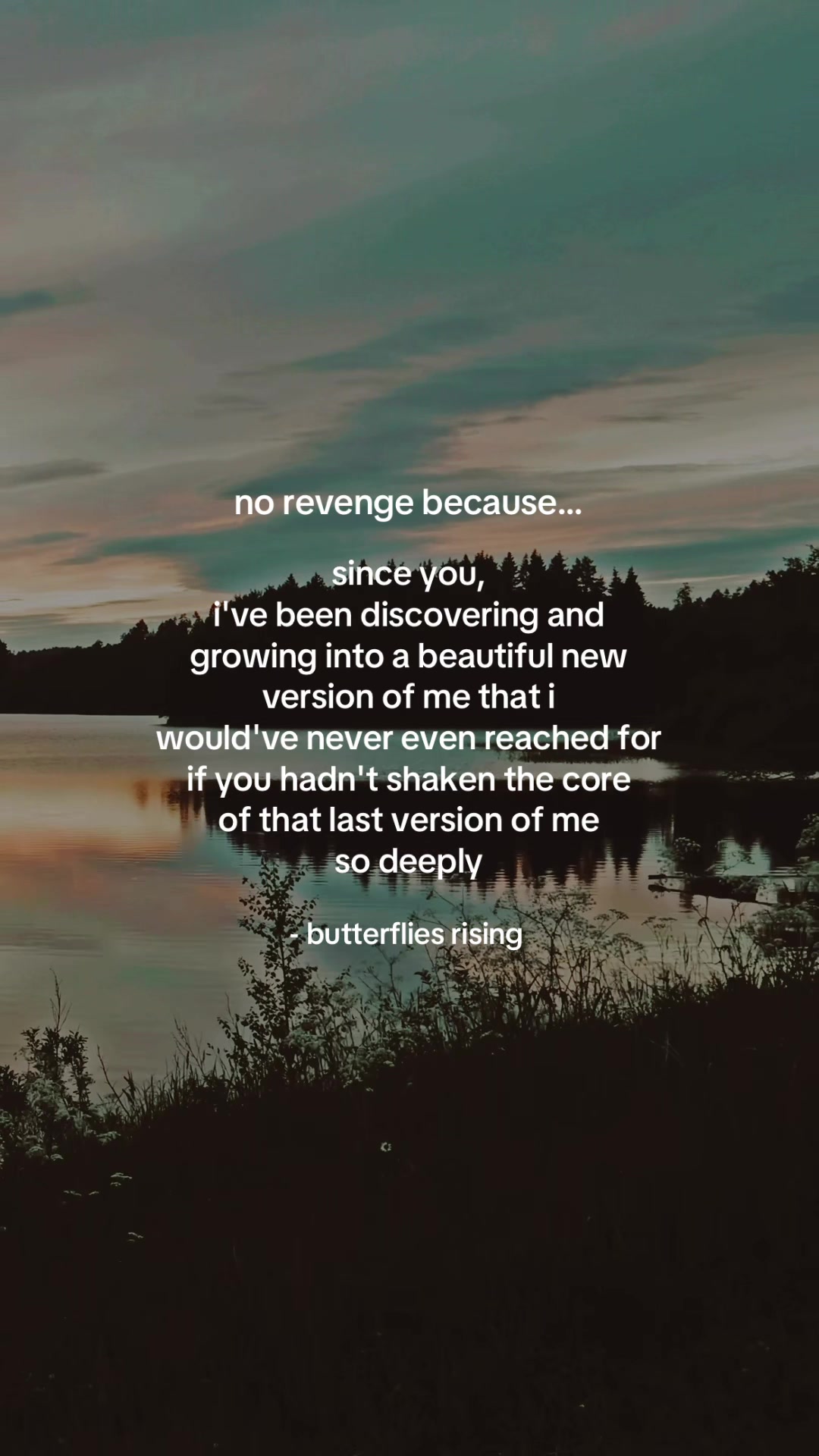 @butterflies rising