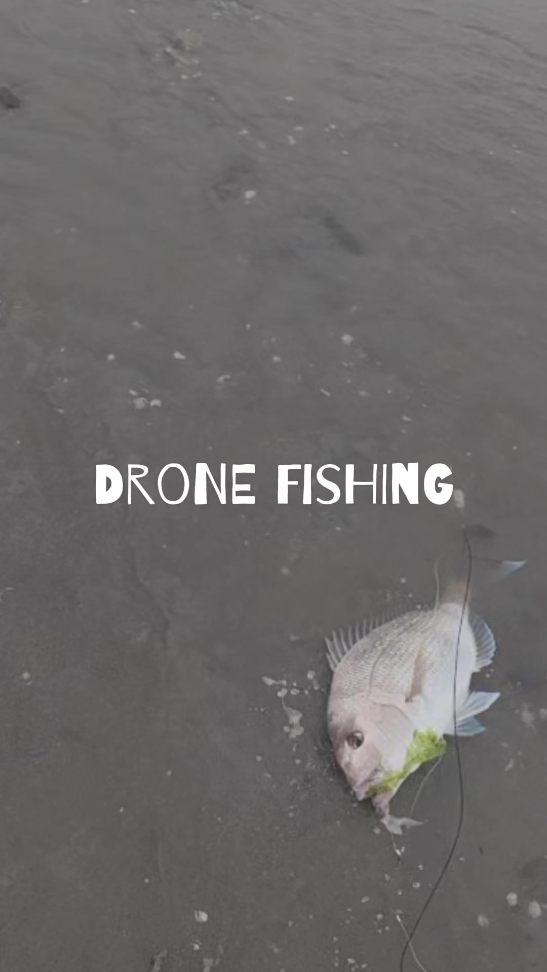 @CCFishing