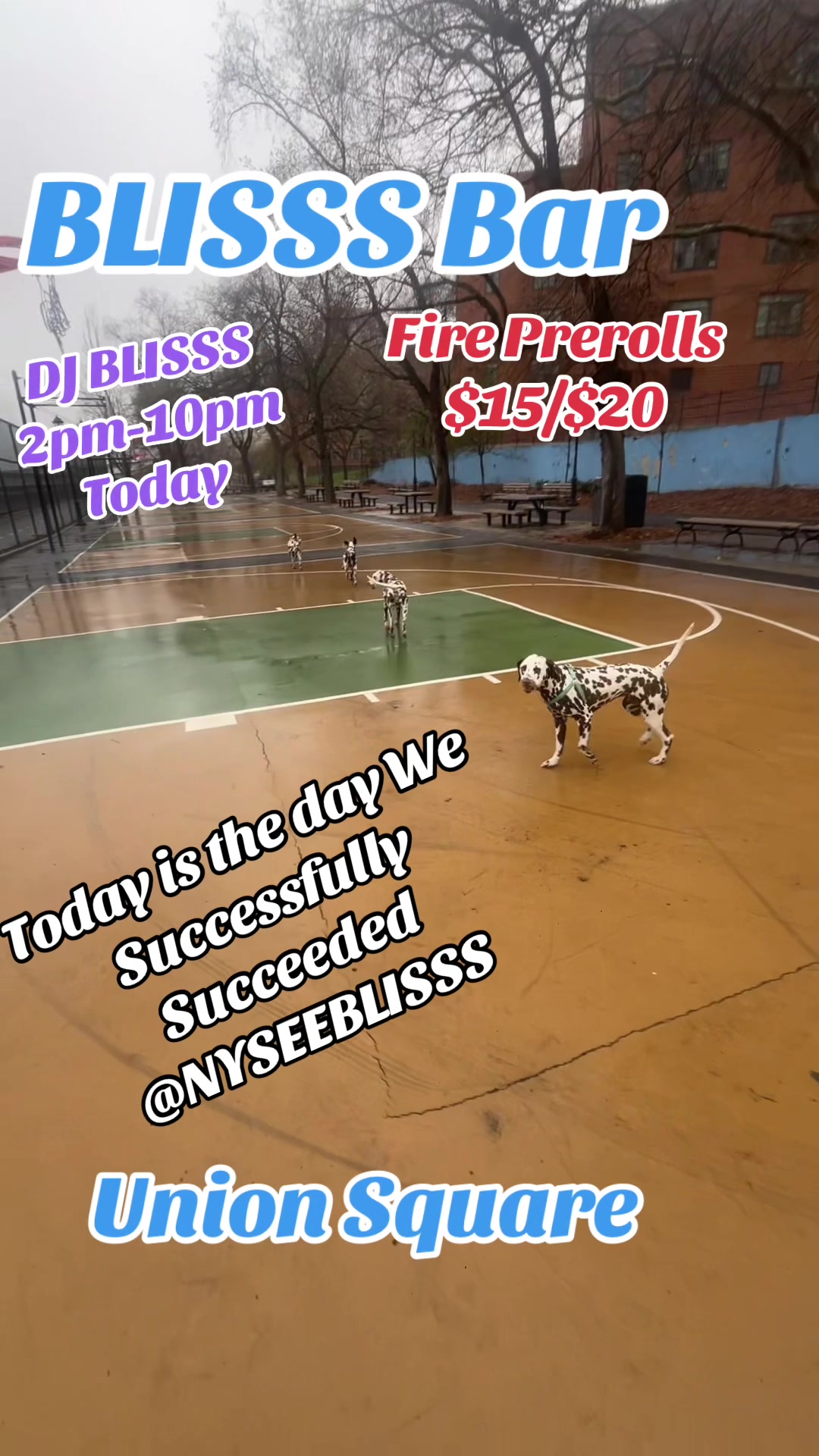 @djblisss5