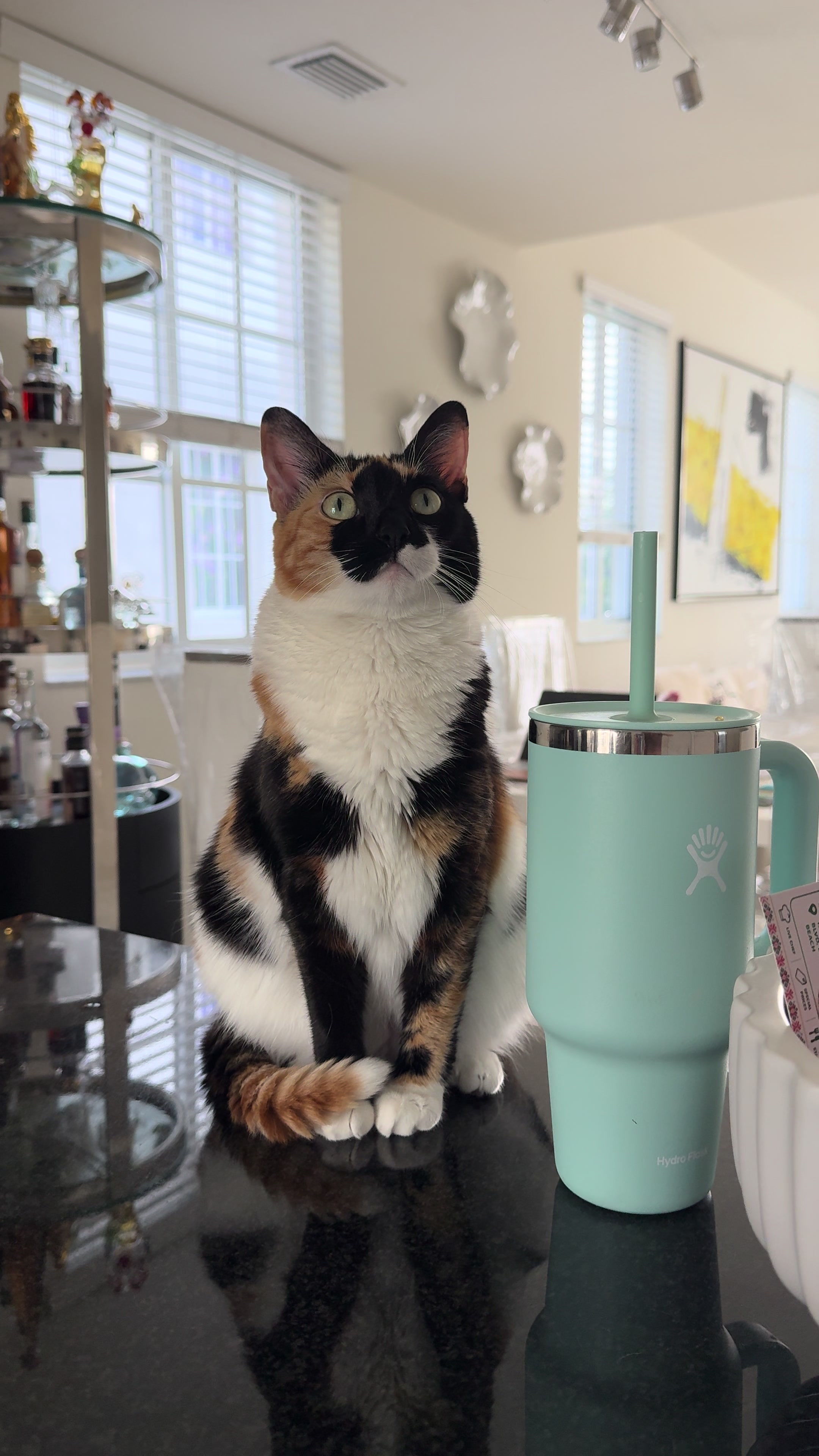 @Kesha and Mia