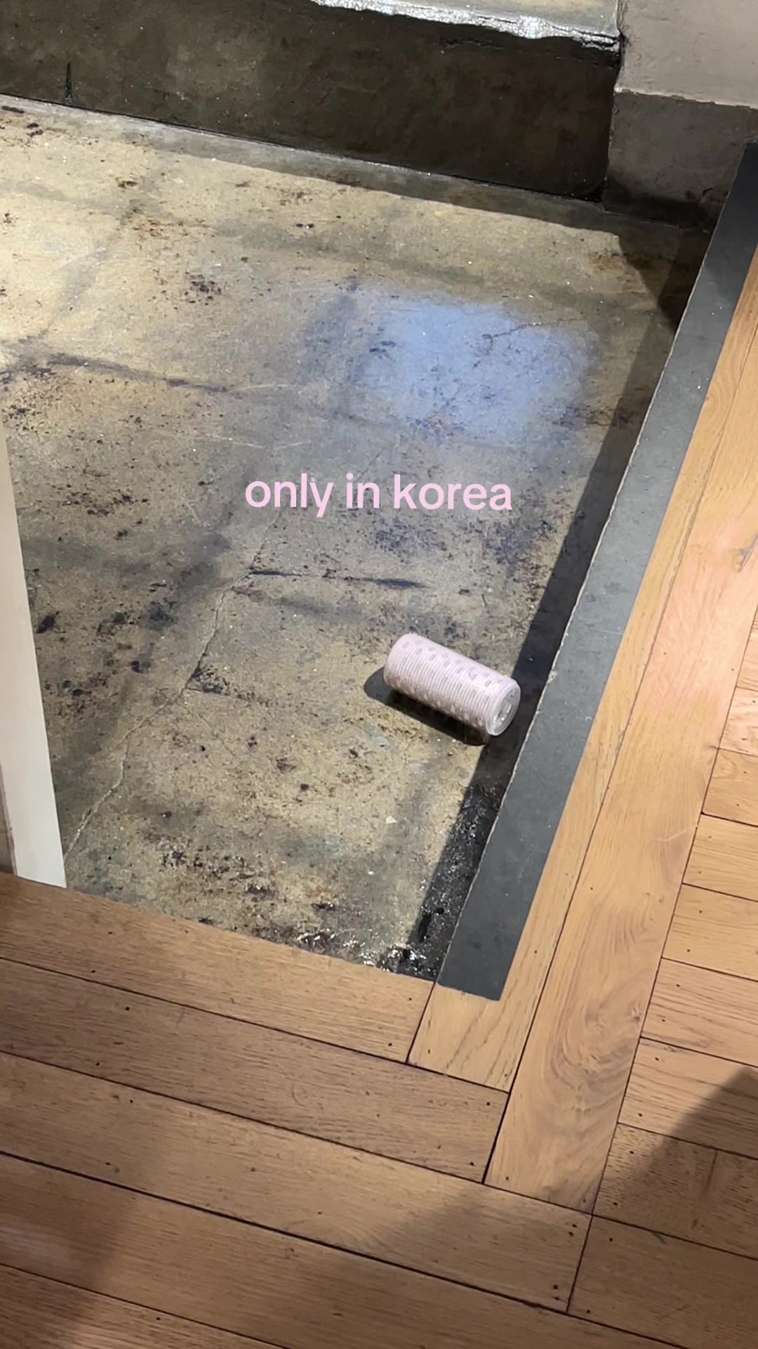 @areum