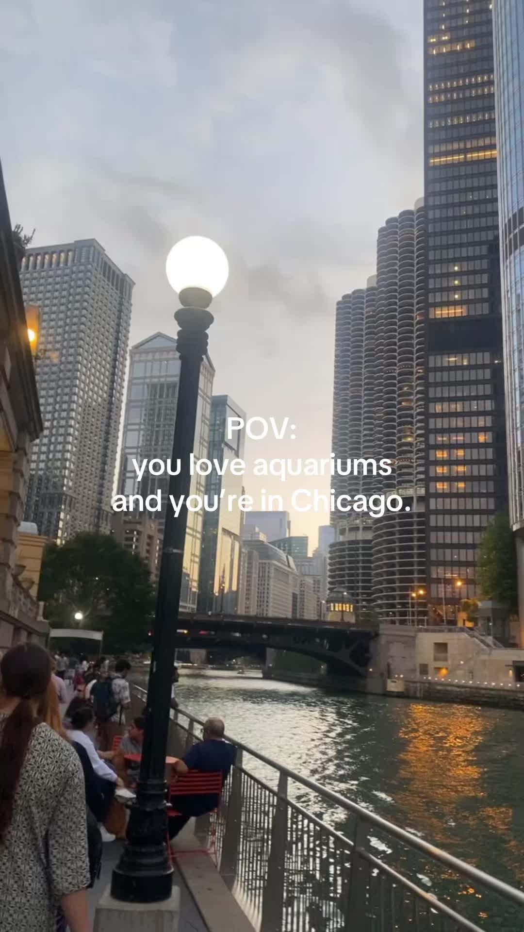 @kendall