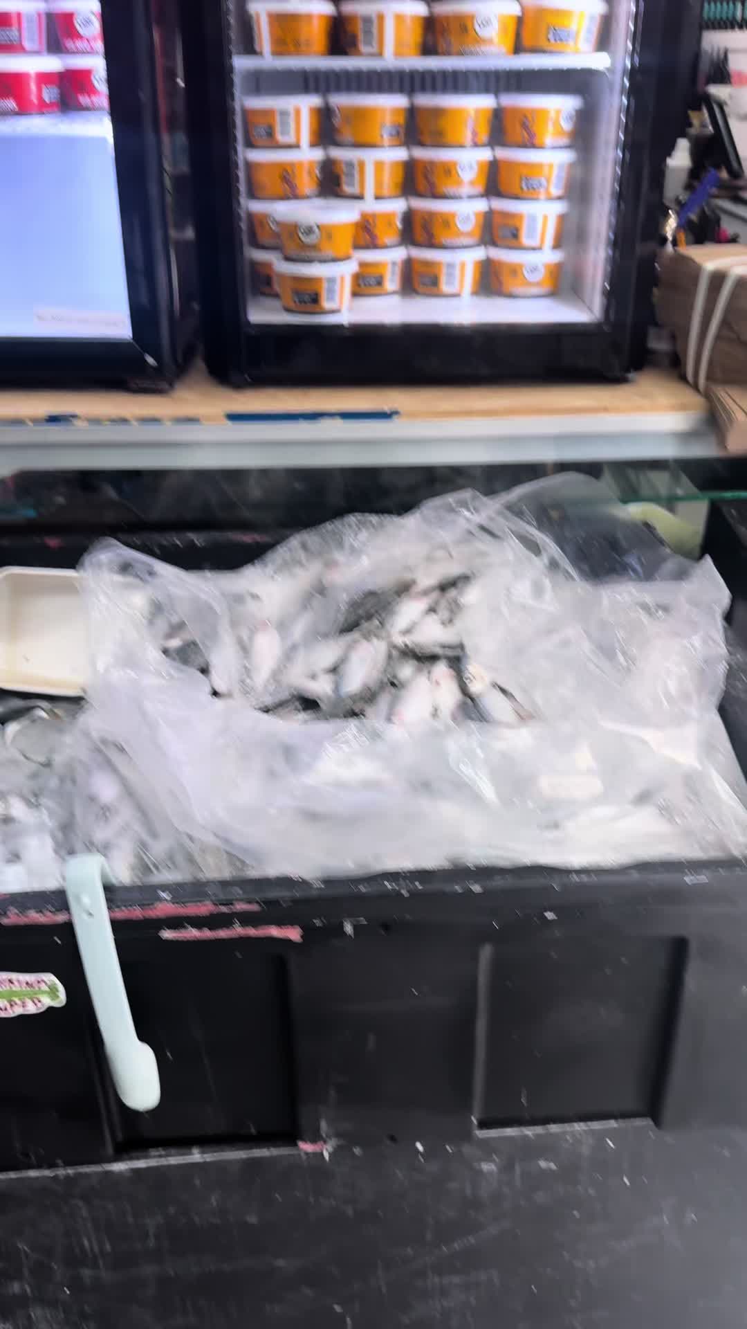 @captainjaxmiami