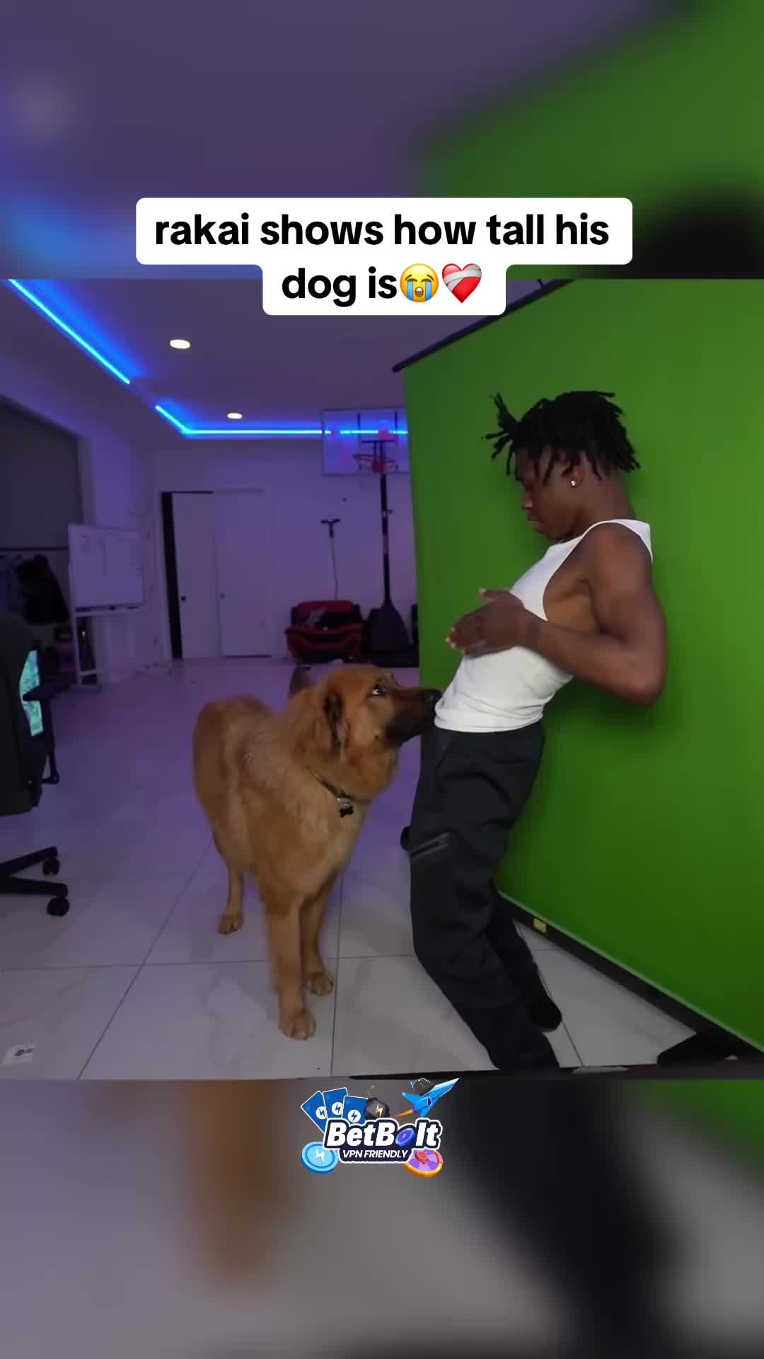 @validclips