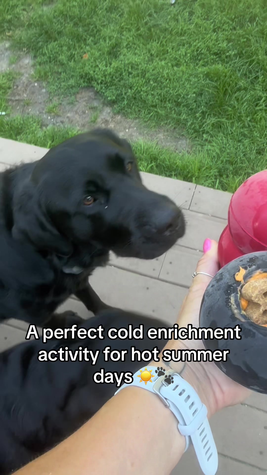 @DennisTheBlackLab