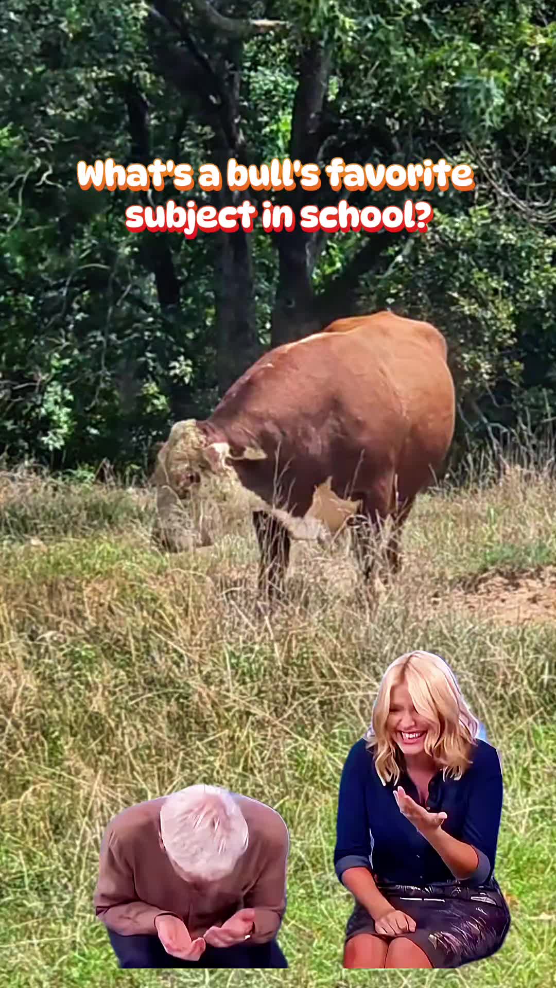 @FarmFun33