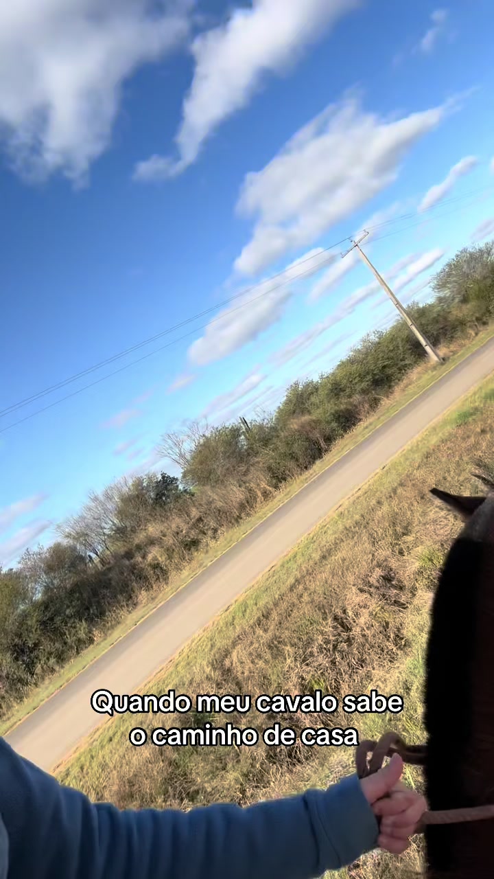 @Colorado da Baldez 🤎🐴