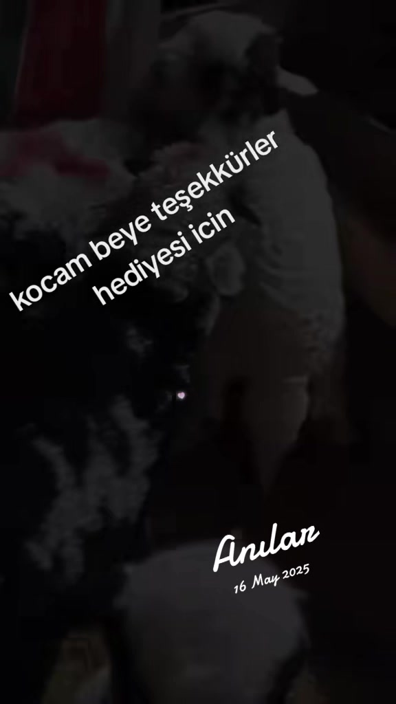 @Nuriye Bicil