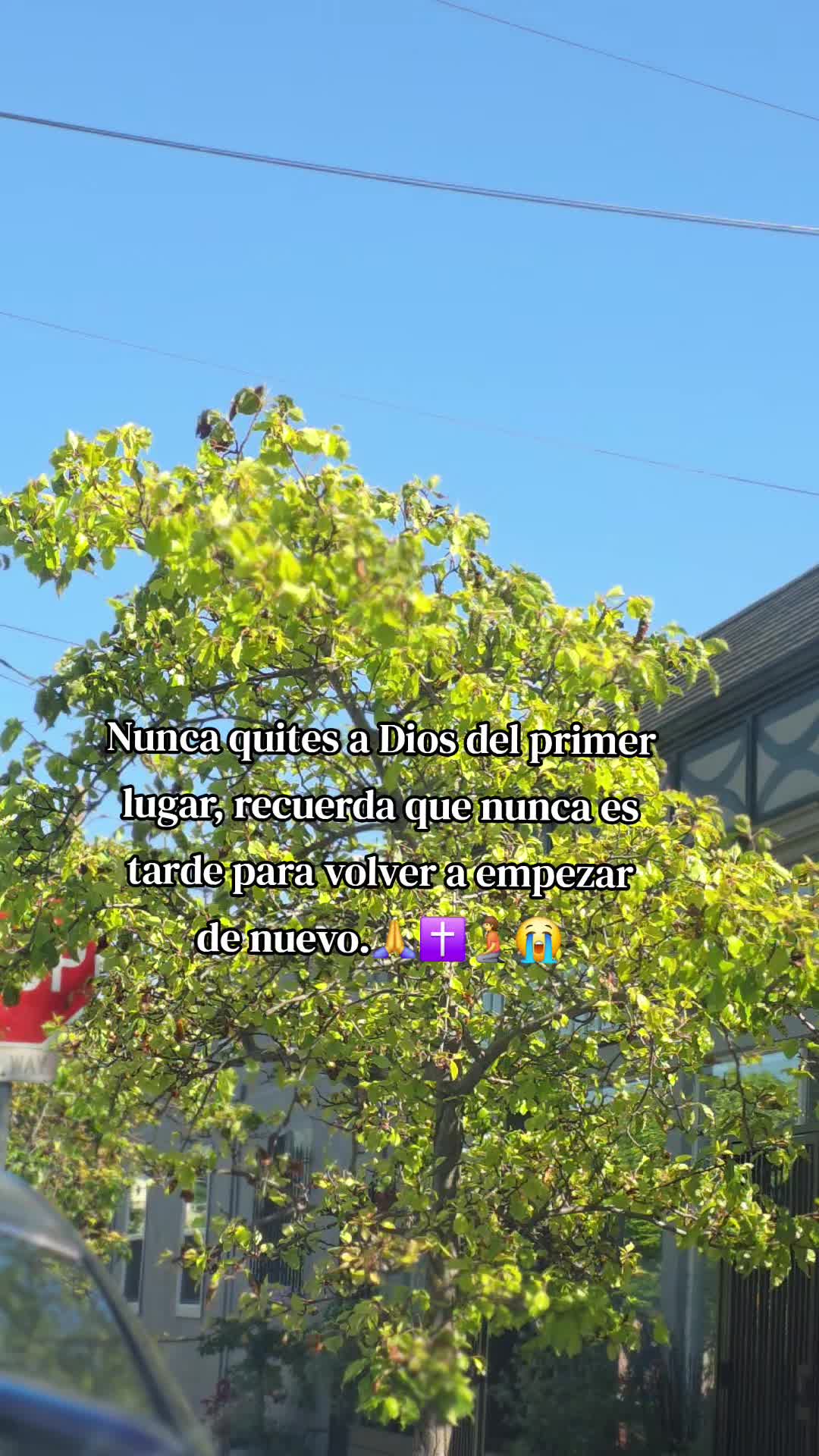 @📸Tᴇᴏ.Mendoza☘️🇬🇹