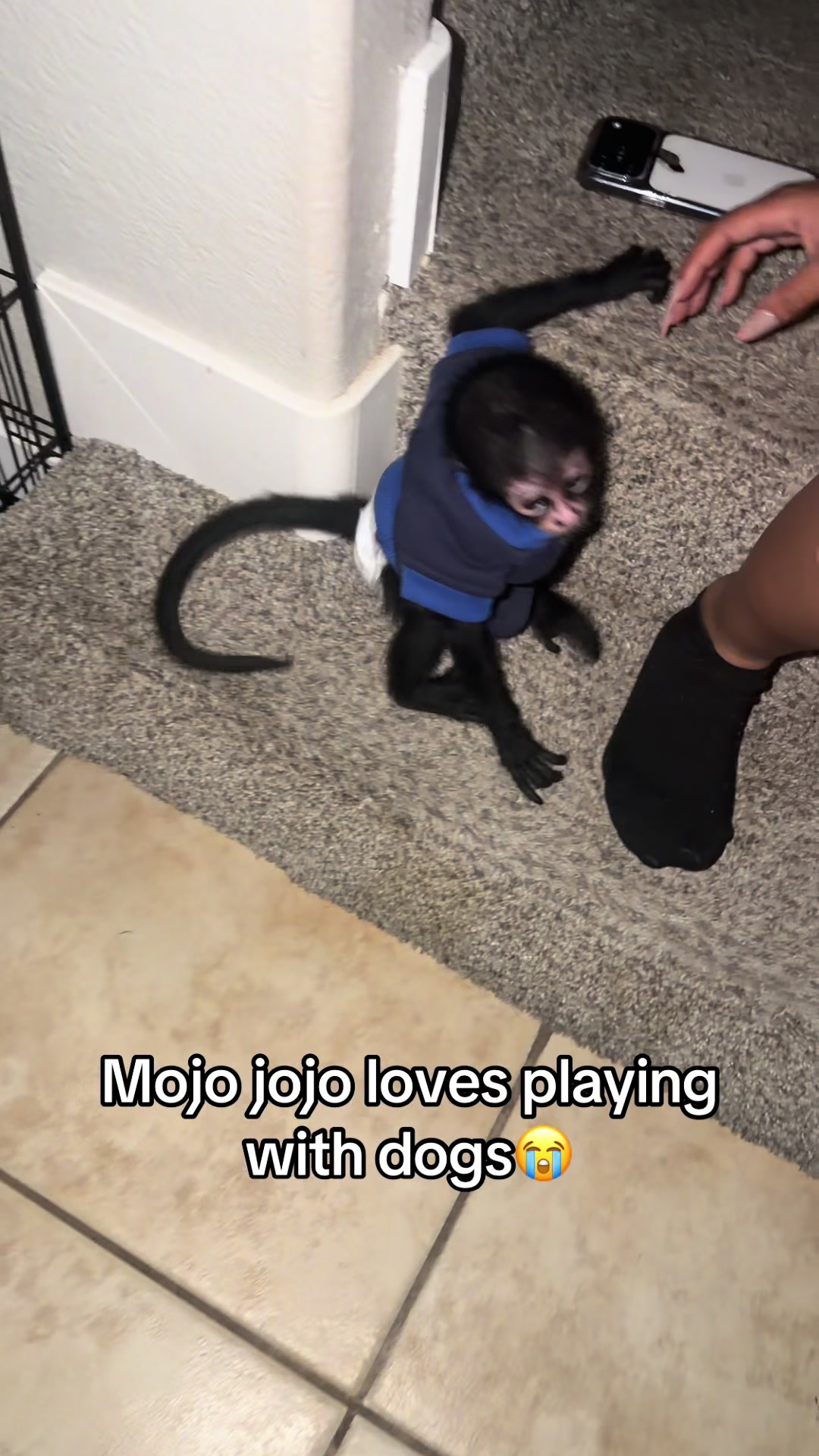 @OJTV & Mojo Jojo🧡
