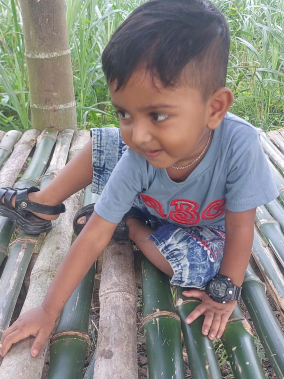 @সানজামুল ইসলাম সোয়াইব
