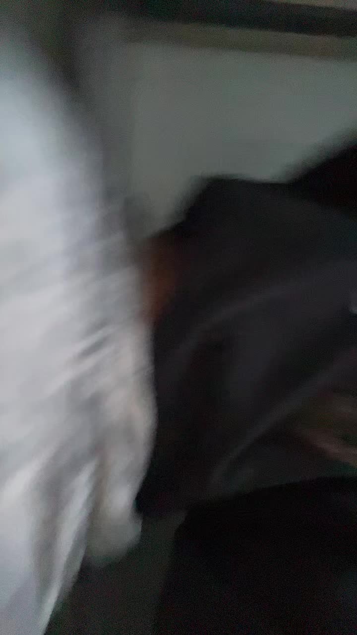 @Kiara 🖤
