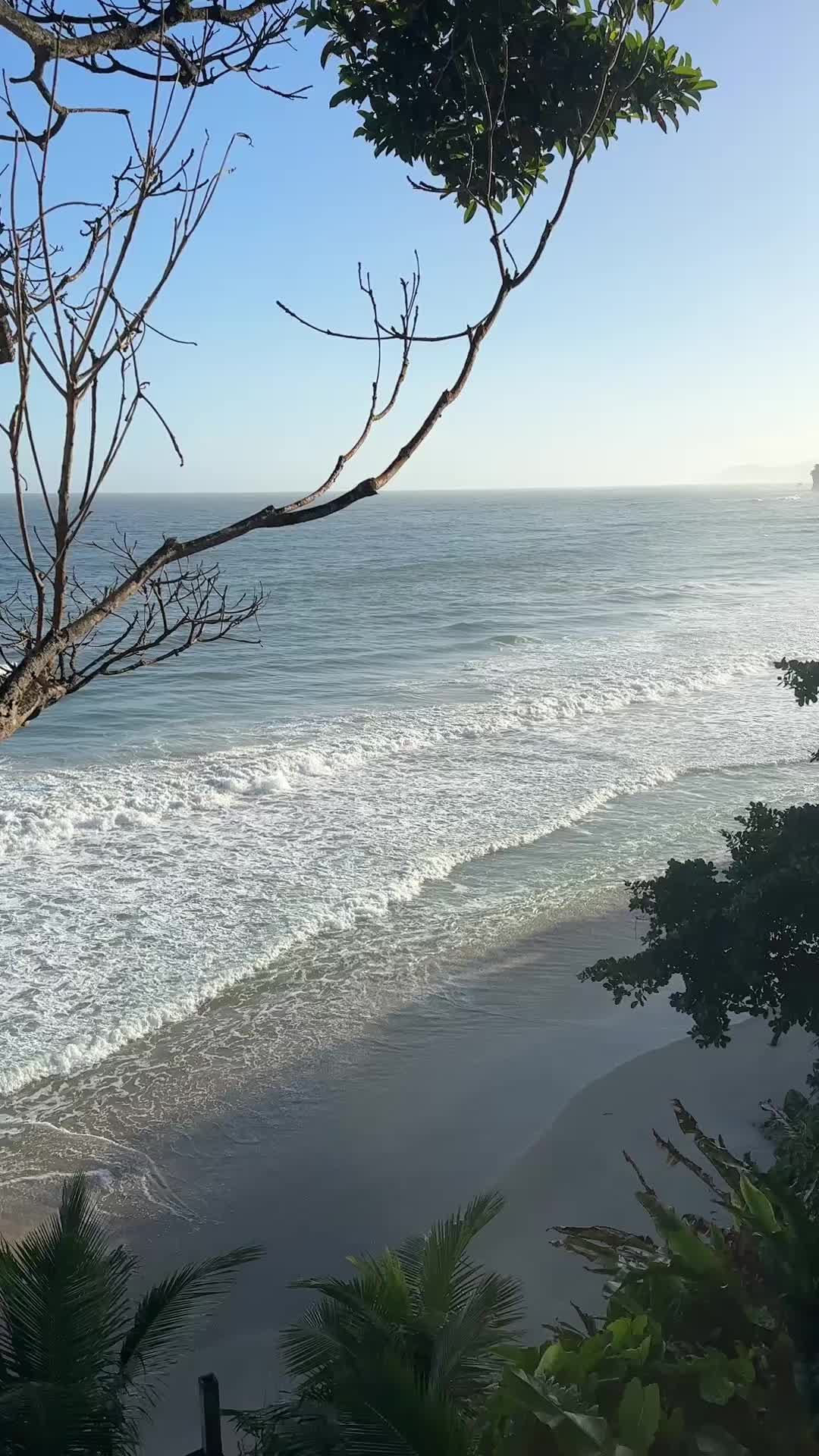 @kin 🇹🇹