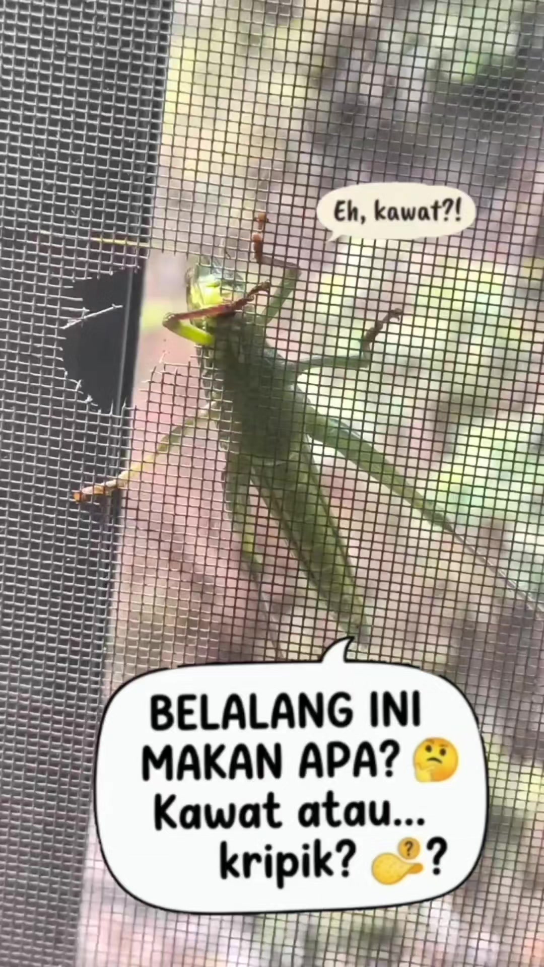 @achmad kharrunz