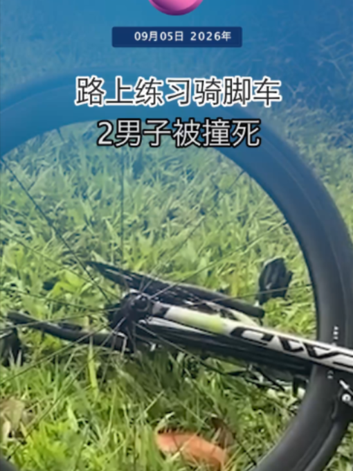 @中国报