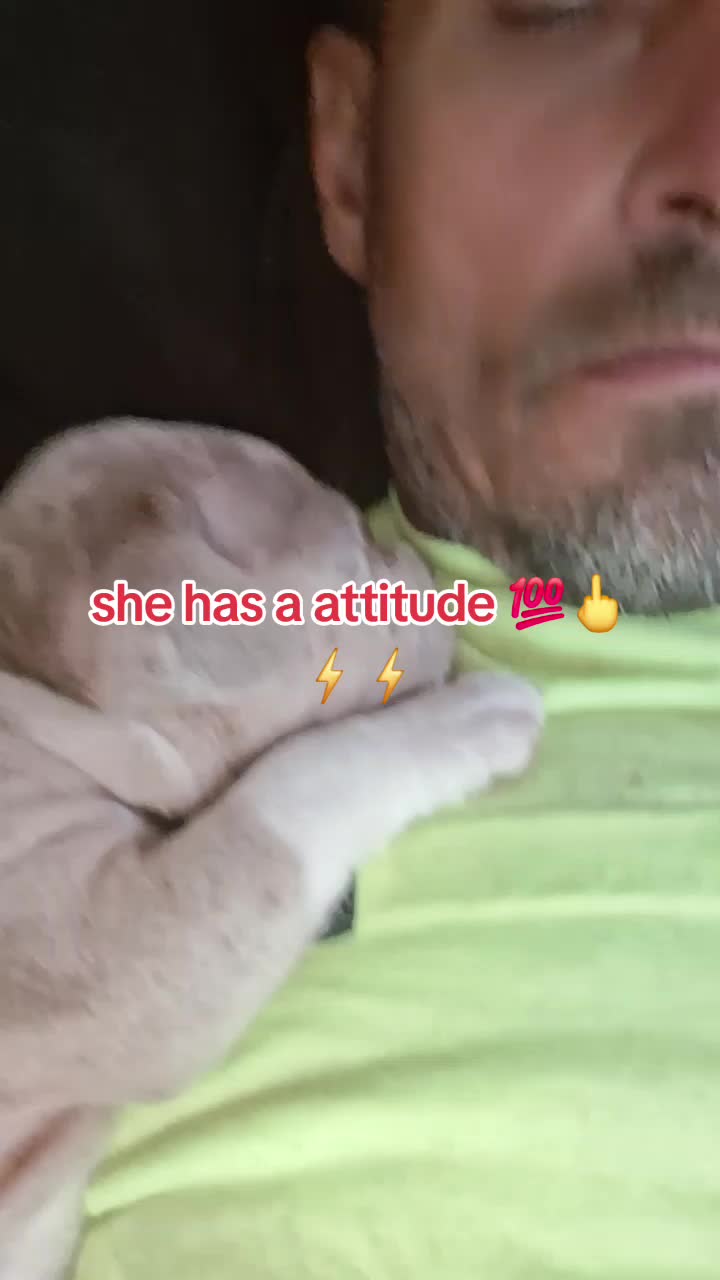 @Denny Adkins