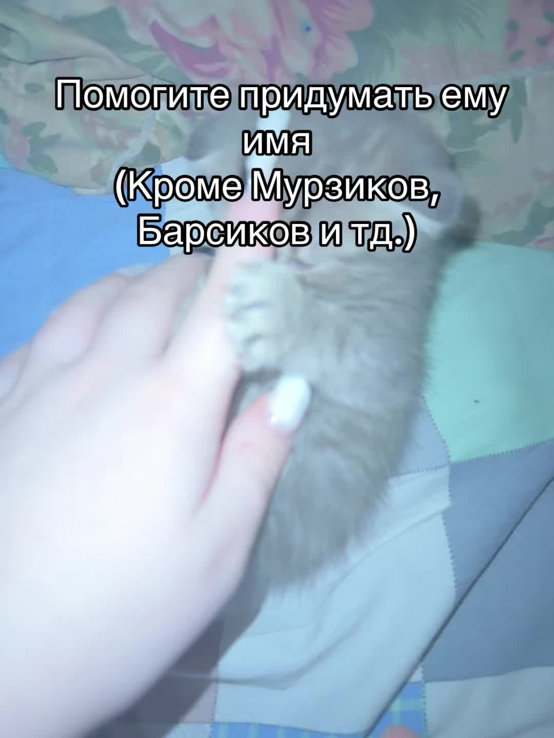 @sofiko
