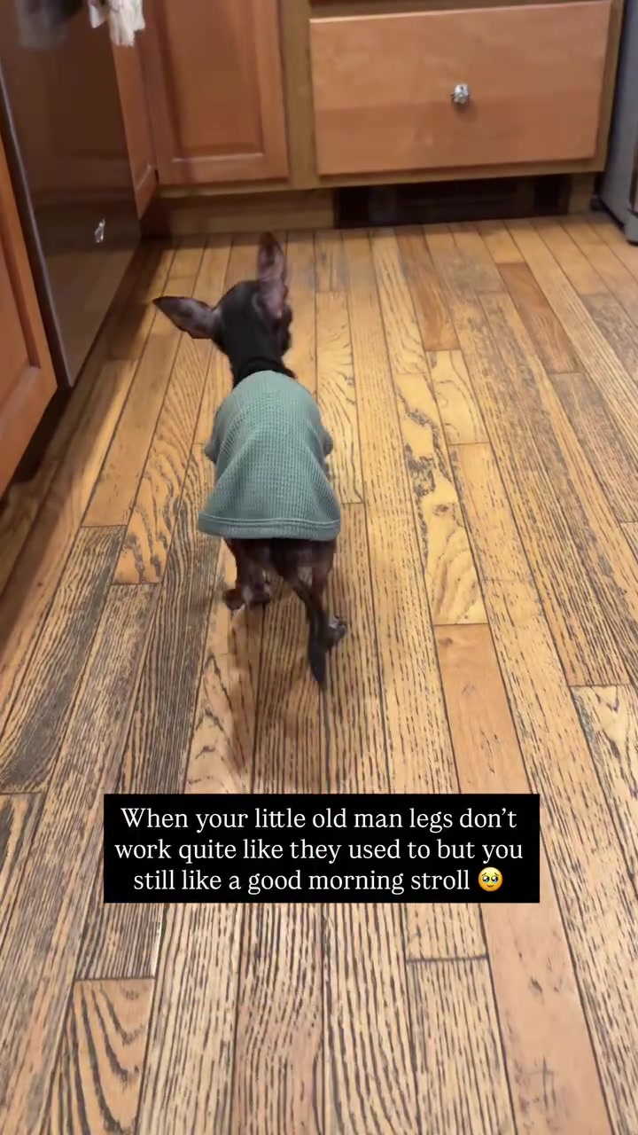 @MortyTheMisfit